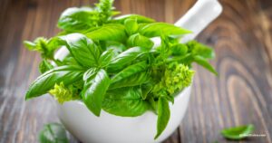 Basil