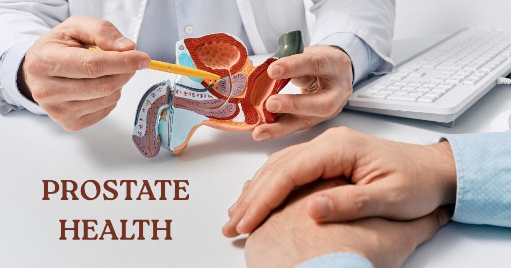 Prostate Health
