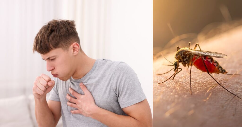 Malaria symptoms
