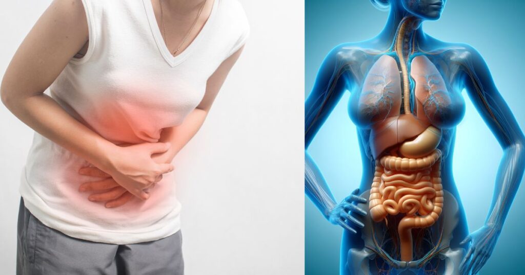 Gut Health