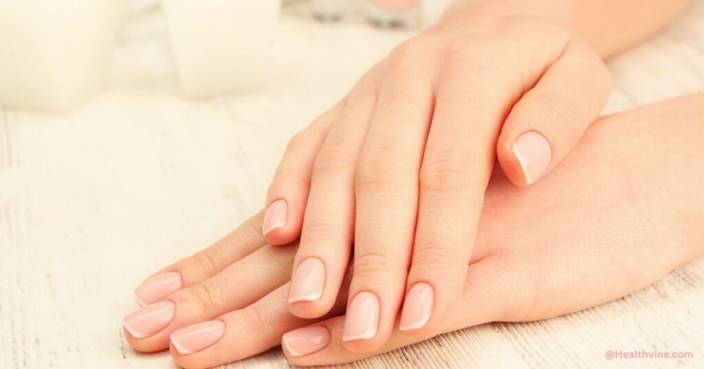 Nail Anatomy